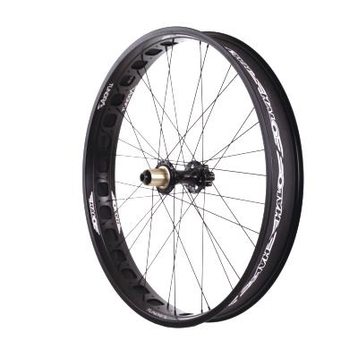 Roue Arrière HALO FAT BIKE 26" 170/177 mm Noire (peinture)