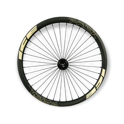 Roue Avant ICE T-REX Carbone Disc 20" x 1-3/8  + Moyeu ICE TANK Ø 20 mm logo Sable